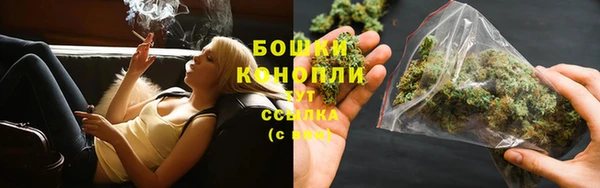 2c-b Каменка