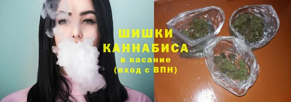 2c-b Каменка