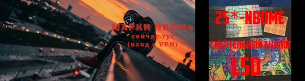 2c-b Каменка
